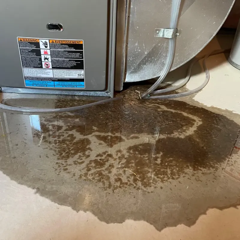 Appliance Leak Cleanup in McGovern, PA