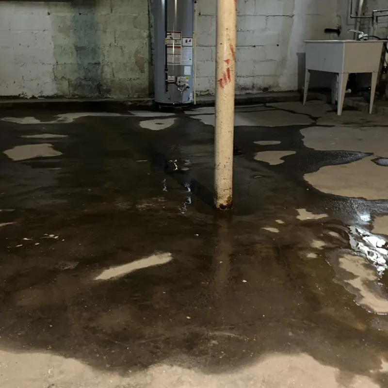 Emergency Water Extraction And Removal in McGovern, PA